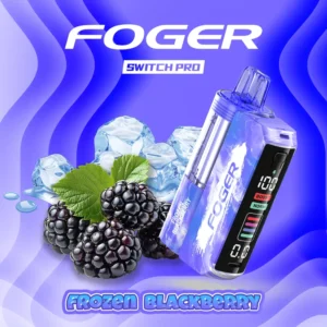 Frozen Blackberry Foger Switch Pro Kit | 30K Puffs